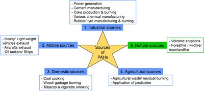 Polycyclic Aromatic Hydrocarbons: Sources, Toxicity, and Remediation Approaches